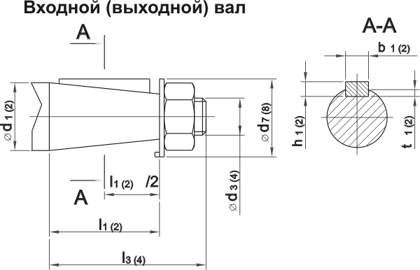 Входной и выходной валы